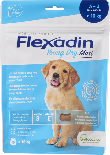 Flexadin Young Dog Maxi 
