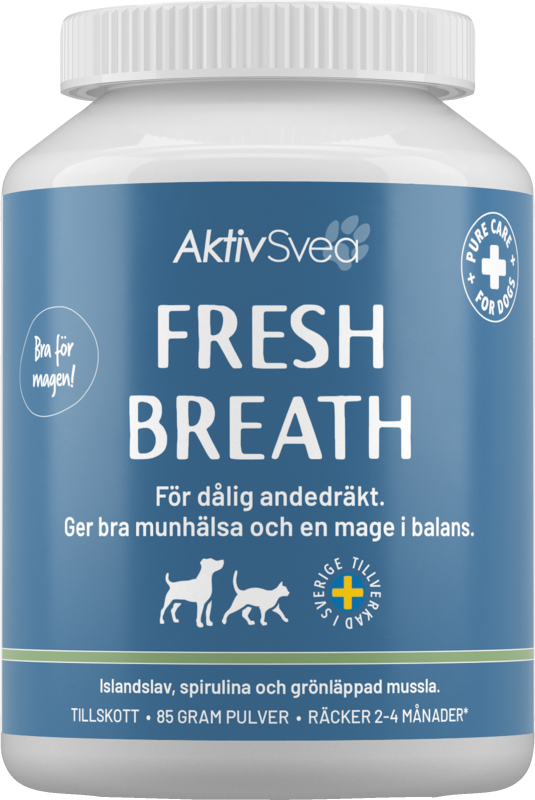 AktivSvea Fresh Breath 100 st