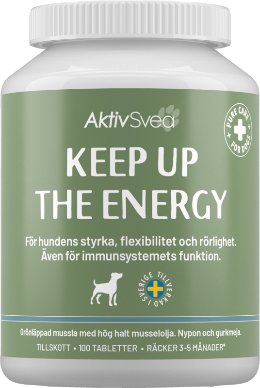 AktivSvea Keep Up the Energy 100 st