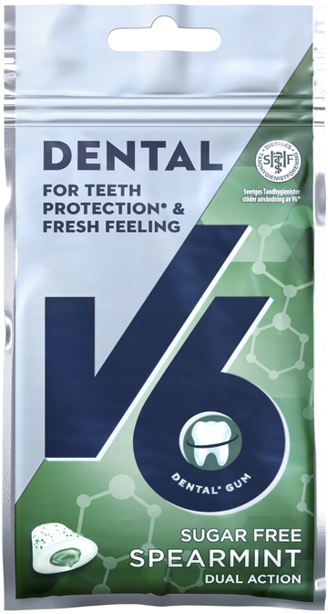 V6 Dental Dual Action Spearmint