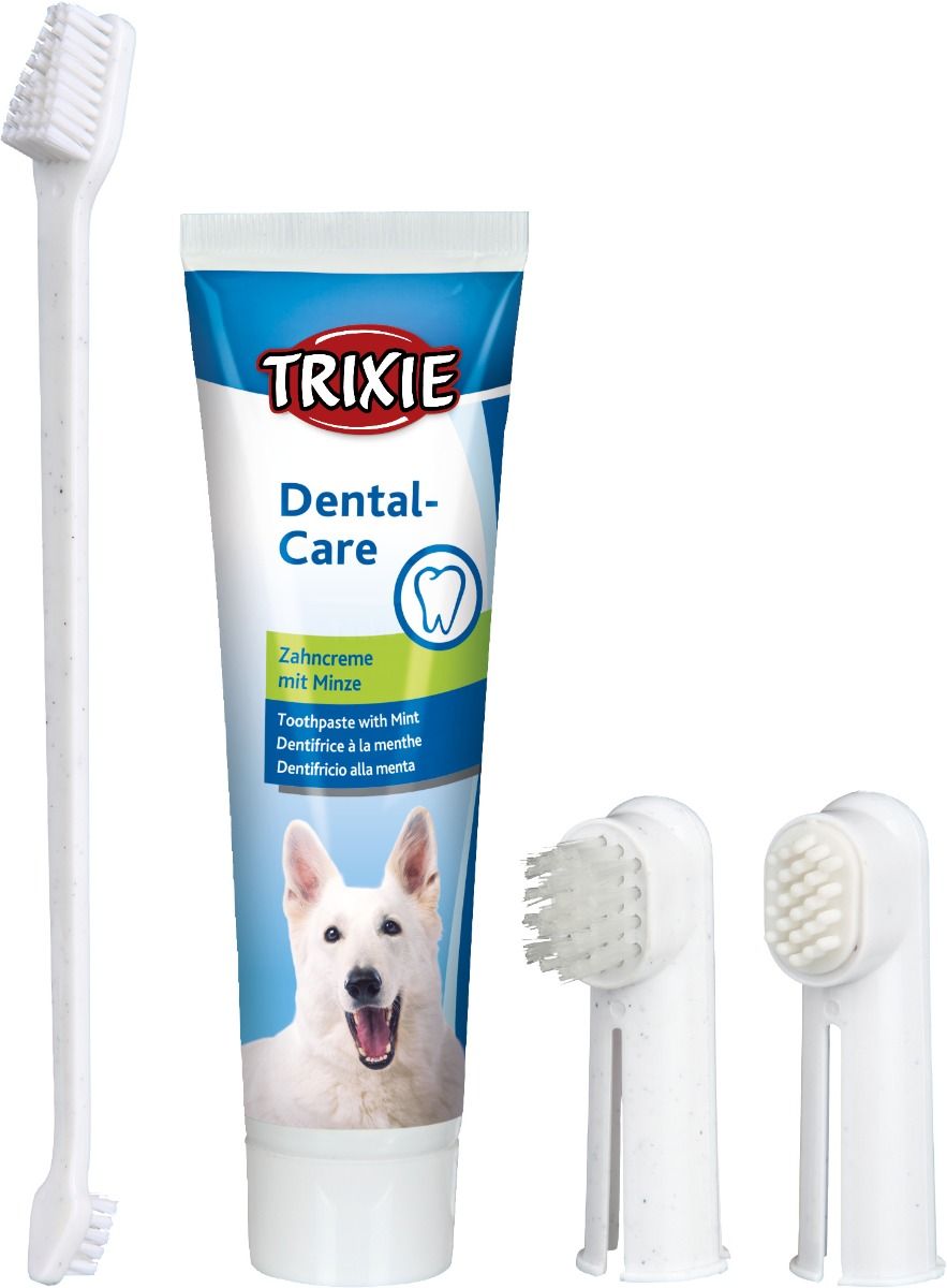 TRiXiE Tandvårdsset hund m tandkräm 3 st