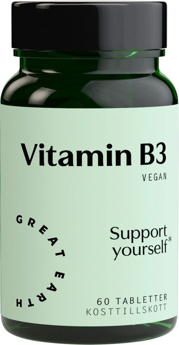 Great Earth Vitamin B3 60 st