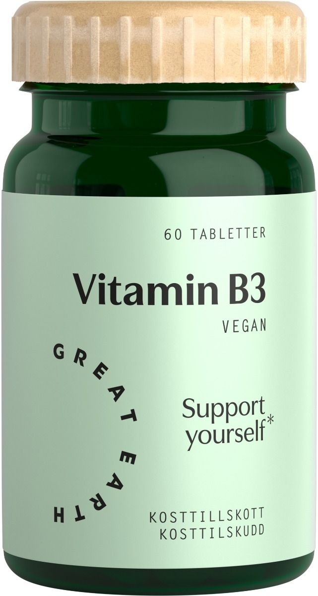 Great Earth Vitamin B3