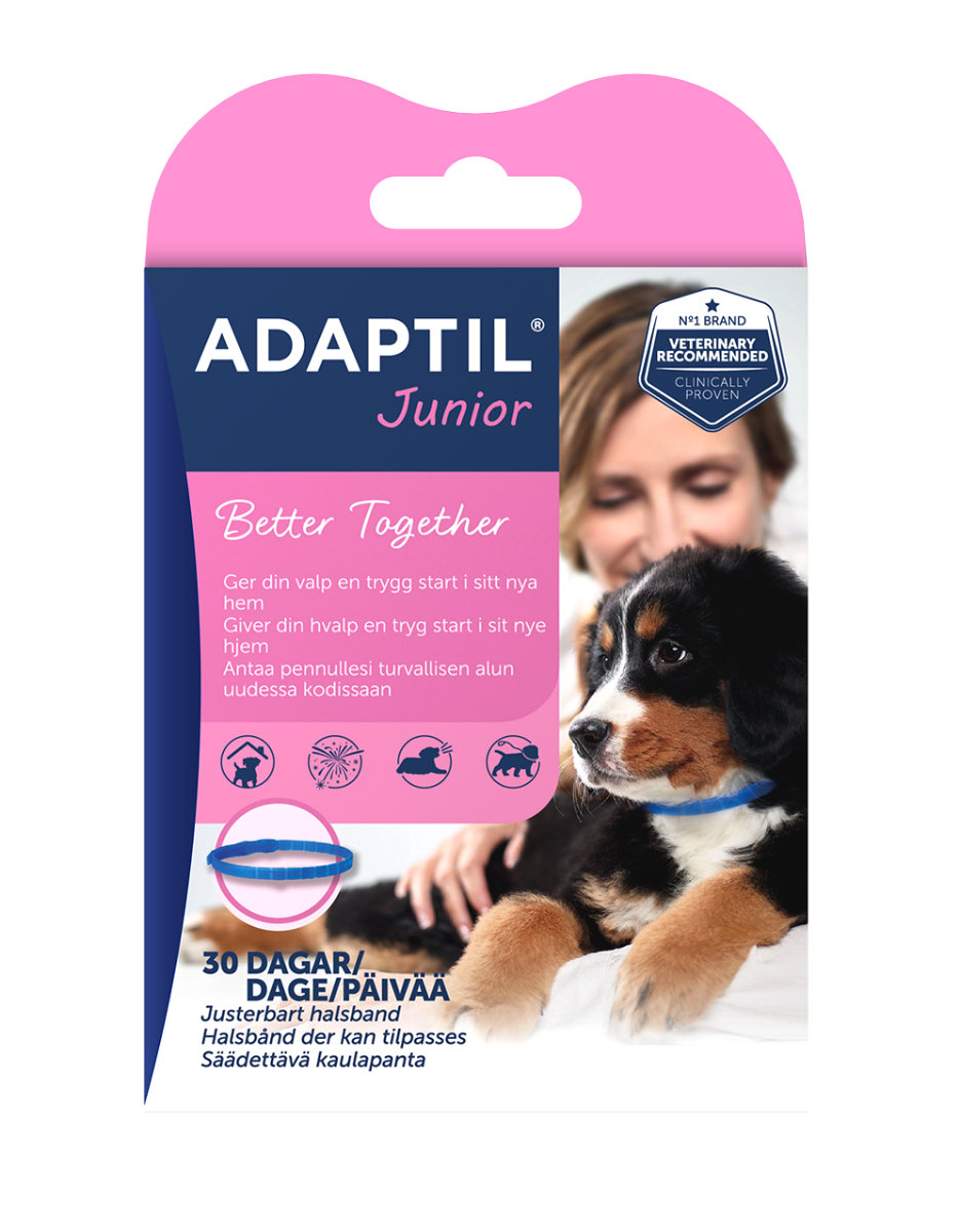 Ceva Animal Health AB Adaptil Junior Halsband 1 st