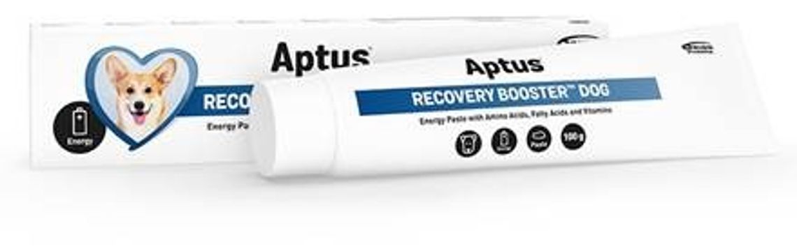 Aptus Recovery booster dog