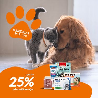 DJurdagar upp till 25%