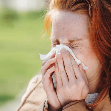 Artikel - Slipp de v&auml;rsta pollenbesv&auml;ren