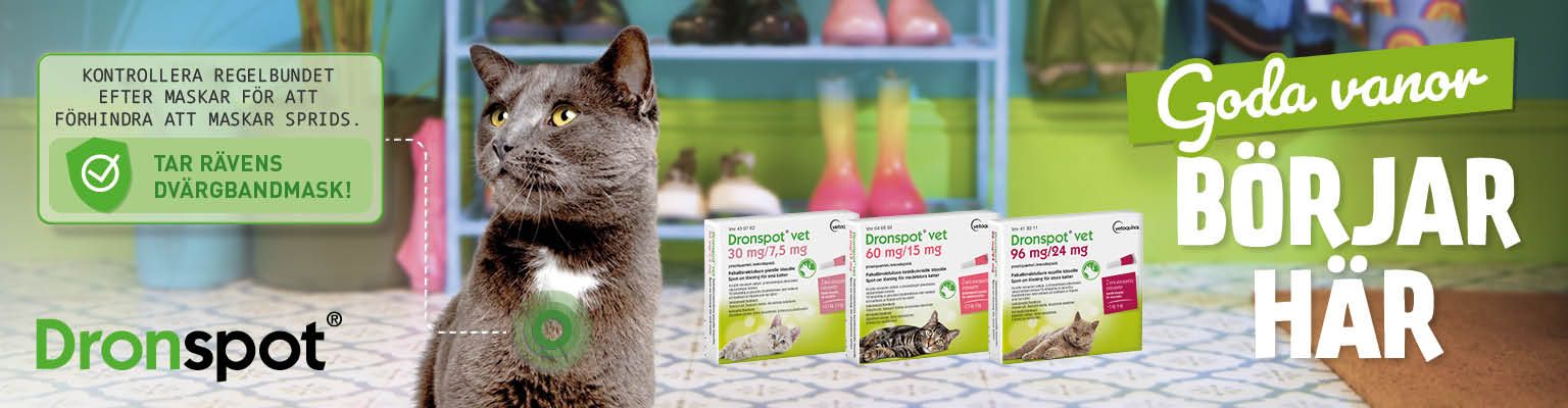 Svartgrå katt, Drontal produktförpackning, spot-onlösning avmaskning katter
