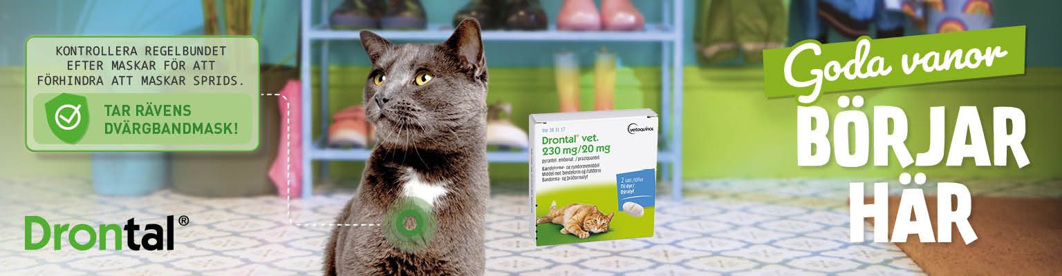 Svartgrå katt, Drontal produktförpackning - behandlar mask hos katter och kattungar