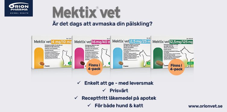Fyra produkter med avmaskningsmedel för hund och katt