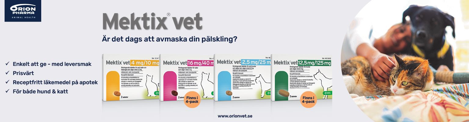 Fyra produkter med avmaskningsmedel för hund och katt